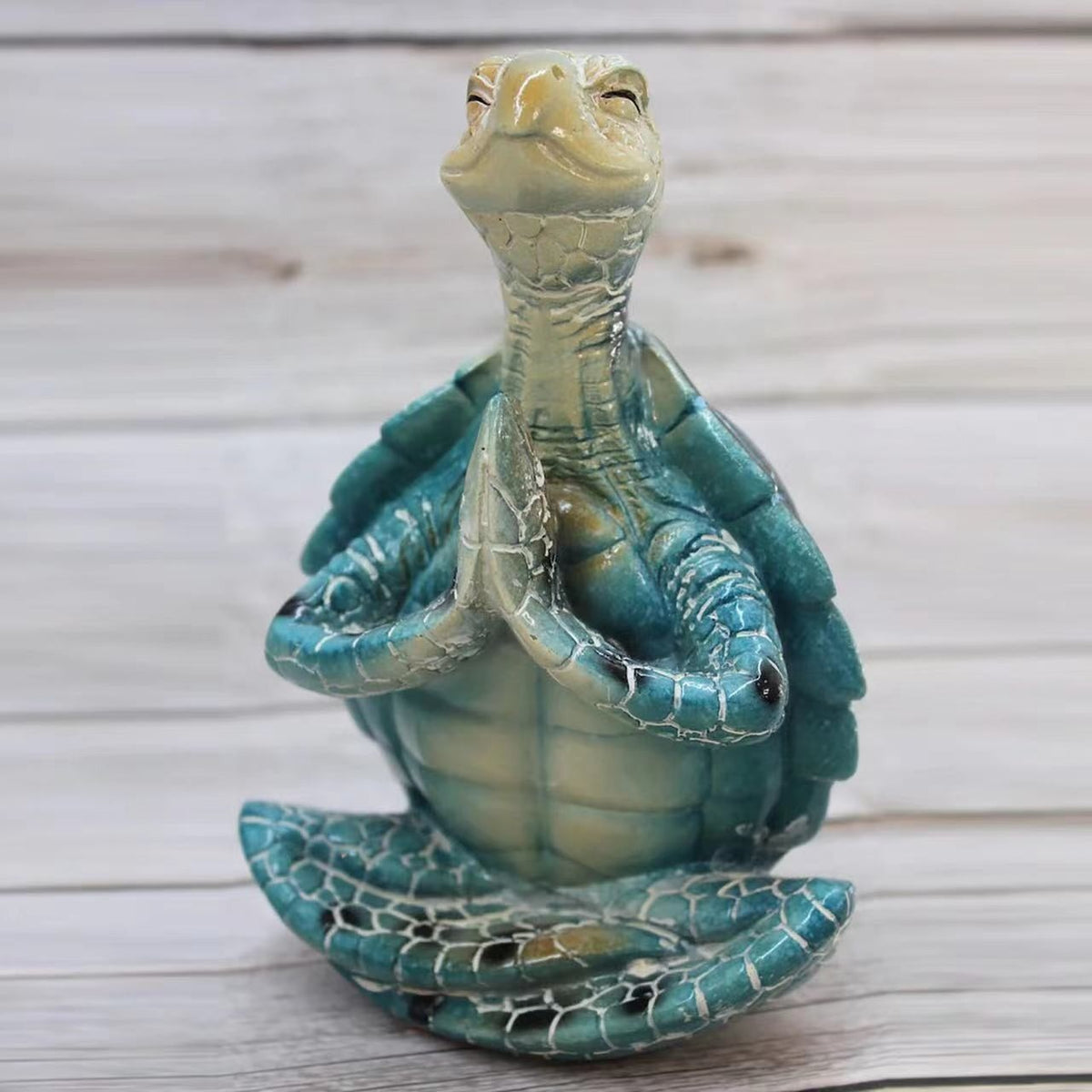 Meditation Sea Turtle