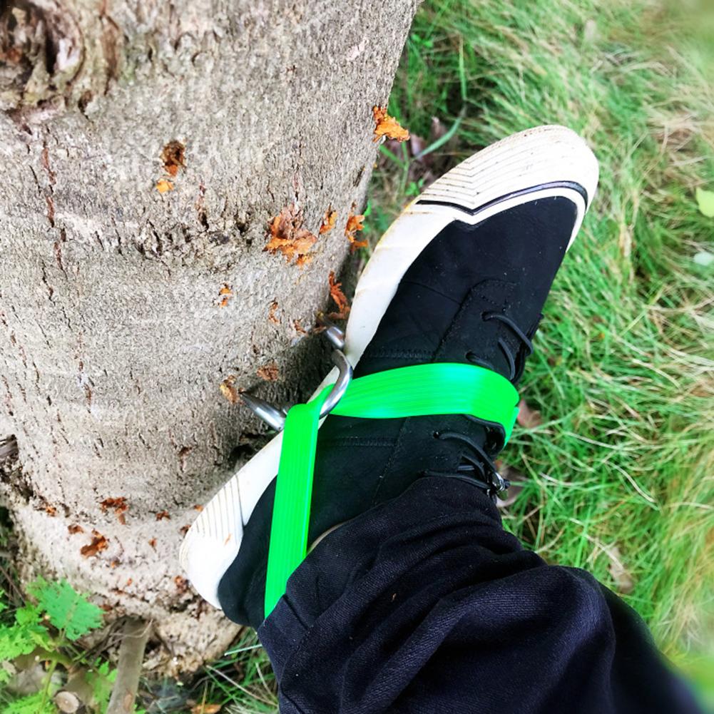 Tree & Pole Climbing Spikes