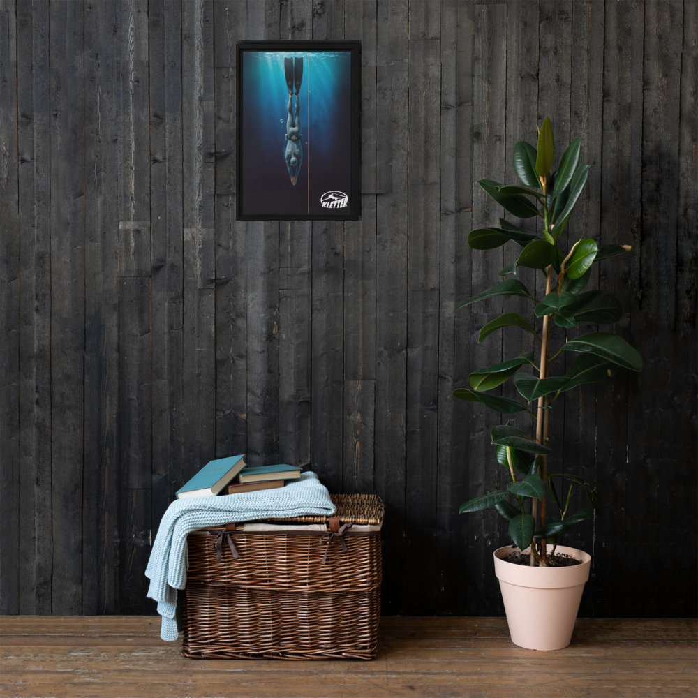 Free Dive... Framed canvas 12"x18"