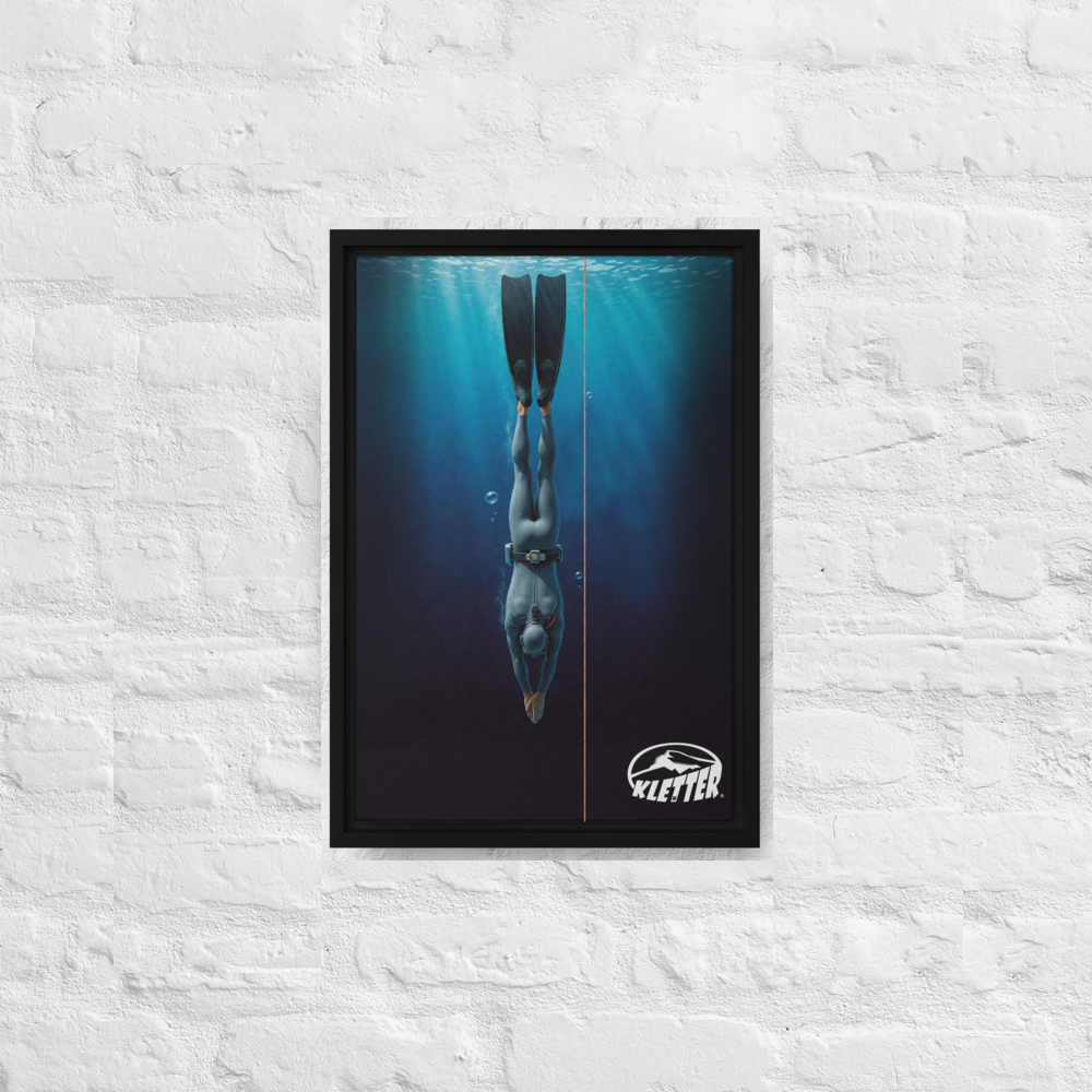 Free Dive... Framed canvas 12"x18"
