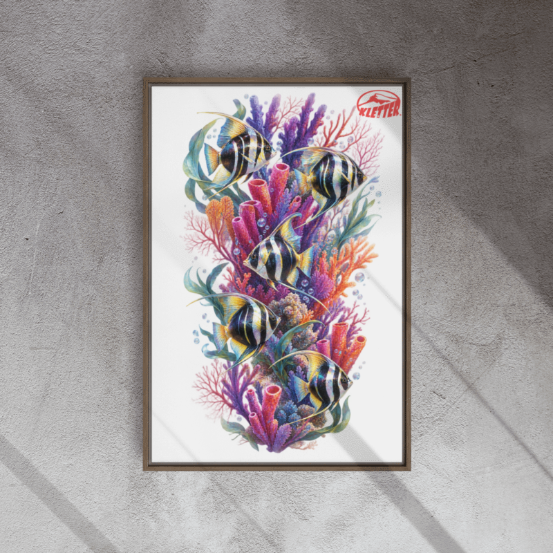 The Coral´s & the gang... Framed canvas 20"x30"
